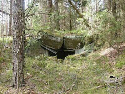 tl447